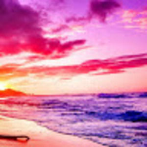 Meet your Posher, Ella